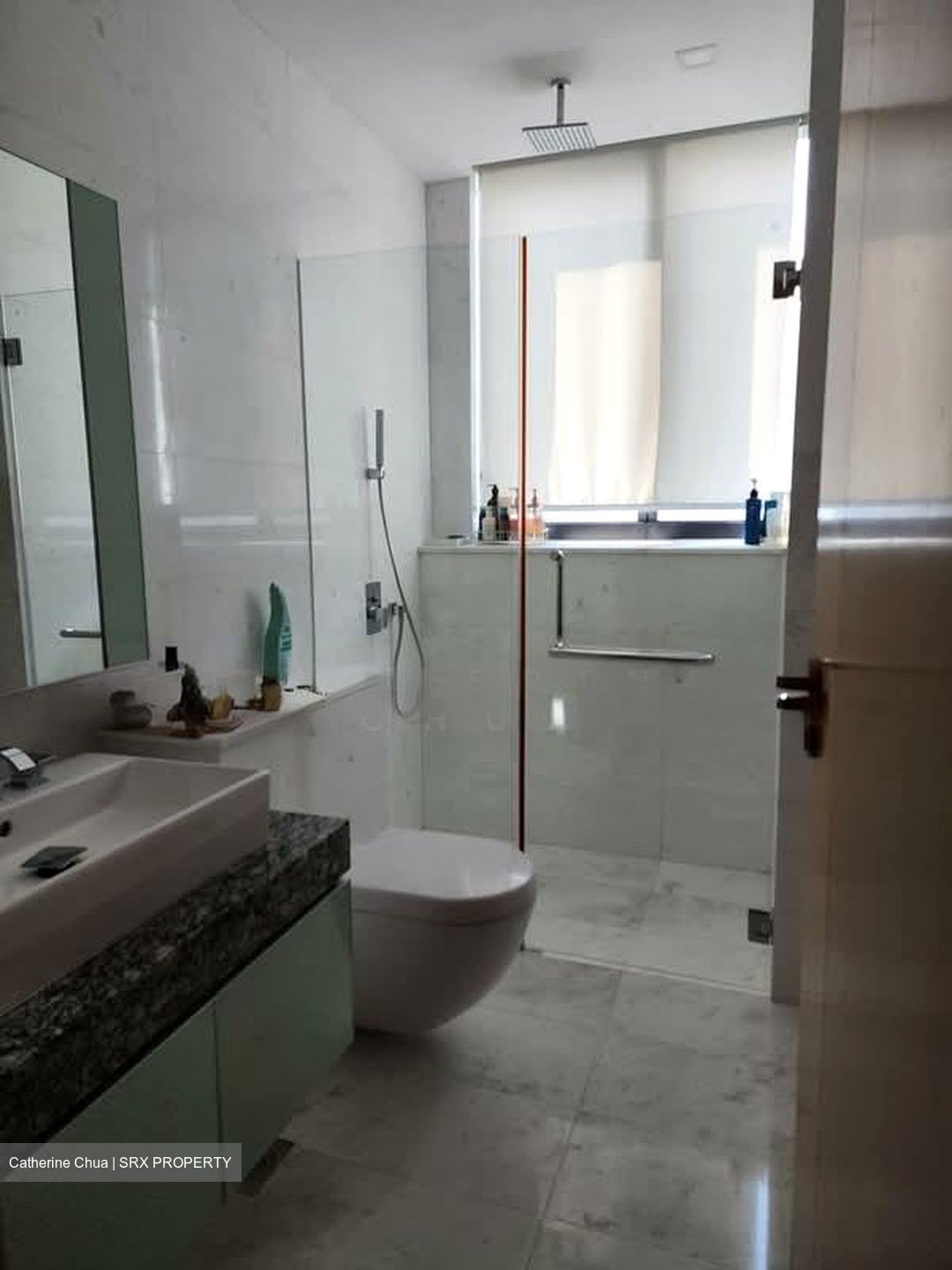 Leonie Parc View (D9), Apartment #573696141